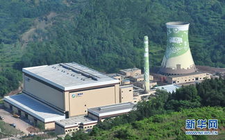 追問(wèn) 綠色經(jīng)濟(jì) 重慶環(huán)保產(chǎn)業(yè)發(fā)展調(diào)查 組圖