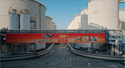 守護(hù)國(guó)民餐桌,一滴油的使命