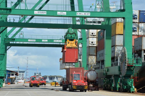 全球連線(xiàn) rcep 滿(mǎn)月 了, 朋友圈 里好熱鬧