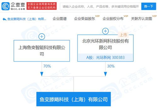 光環(huán)新網(wǎng)參股成立科技新公司，聚焦人工智能基礎(chǔ)軟件開發(fā)